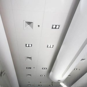 נסתרת Focus DS  1 1